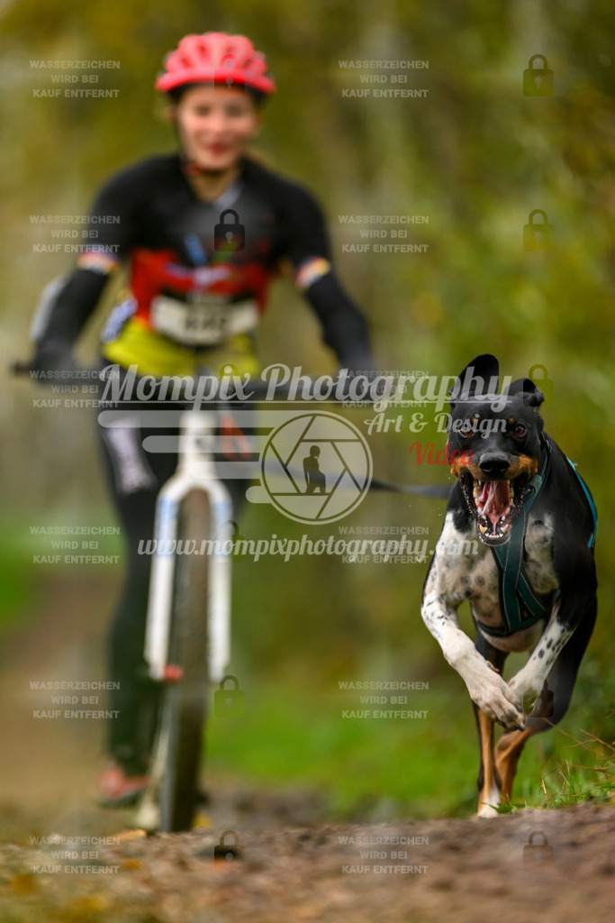 MompixPhotography_20TSB_E6_DS1-65 | PayLife