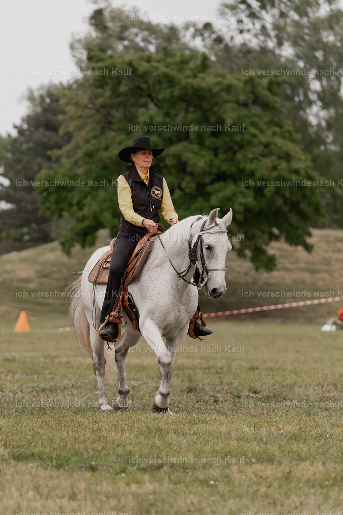 Showprogramm-183 | working equitationturnier fotograf videograf stoibphotography marixx film working equitation deutschland reitsport turnierfotografie eventfotografie equestrian events