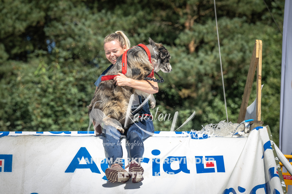 1428_ZZ94242 | kk-dogfotos
