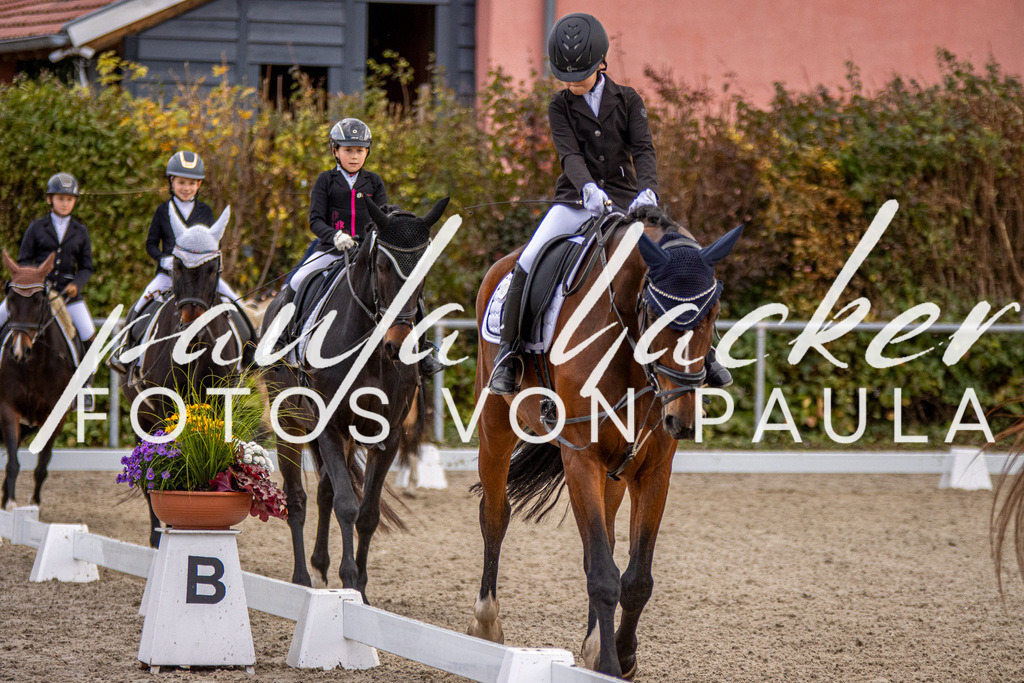 IMG_3549 | Erleben Sie dynamische Sport- und emotionale Tierfotografie in Süddeutschland mit Fotos von Paula. Spezialisiert auf Pferde- und Hundefotografie sowie Sportevents. Kontaktieren Sie mich für einzigartige und ausdrucksstarke Bilder Ihrer besonderen Momente. - Realisiert mit Pictrs.com
