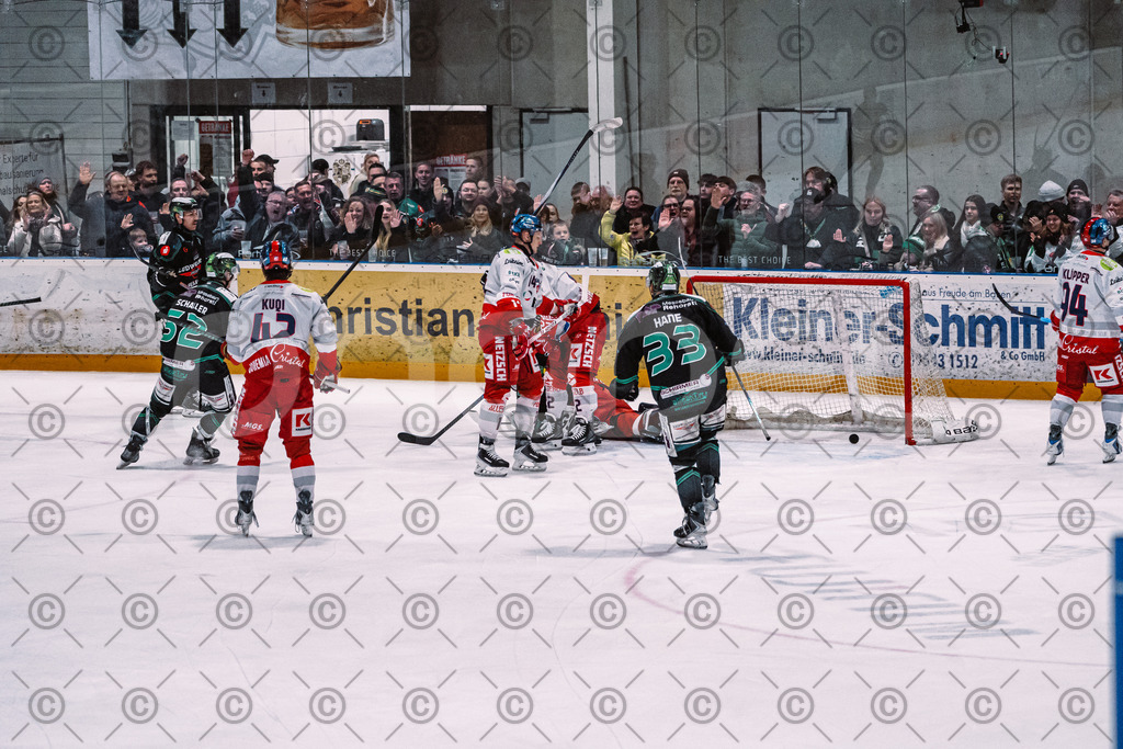 Alligators_vs_Selb_27_02_2026-19 | Höchstadt Alligators Fotogalerie: Eishockey-Action aus Franken. Professionelle Spielfotos, Portraits & Stadionbilder zum Download. Jetzt entdecken! - Realisiert mit Pictrs.com