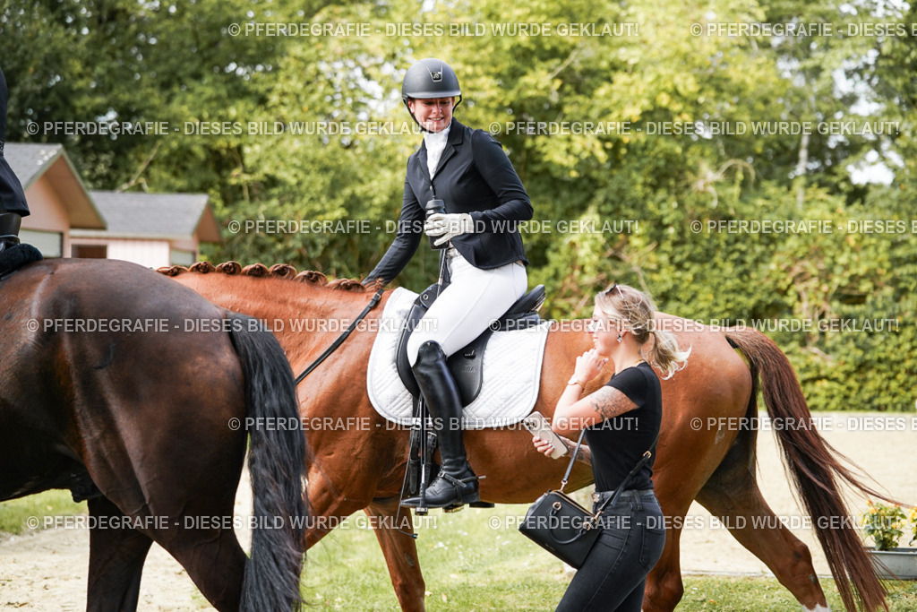 DSC03377 | Pferdegrafie