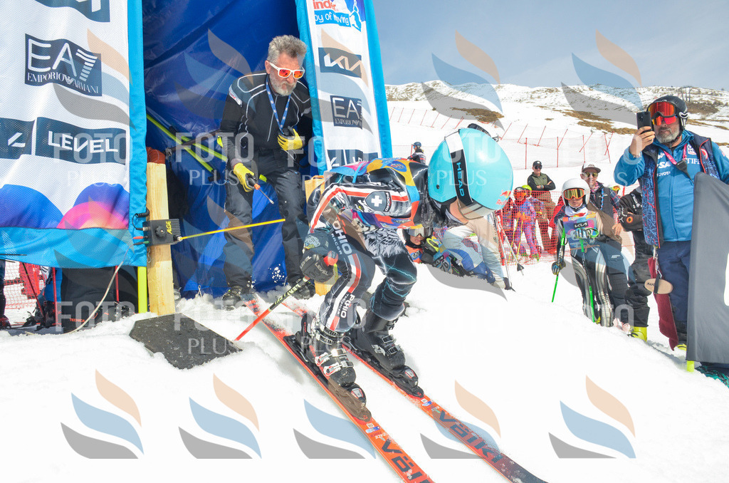 _ELE7147 | holidayphoto