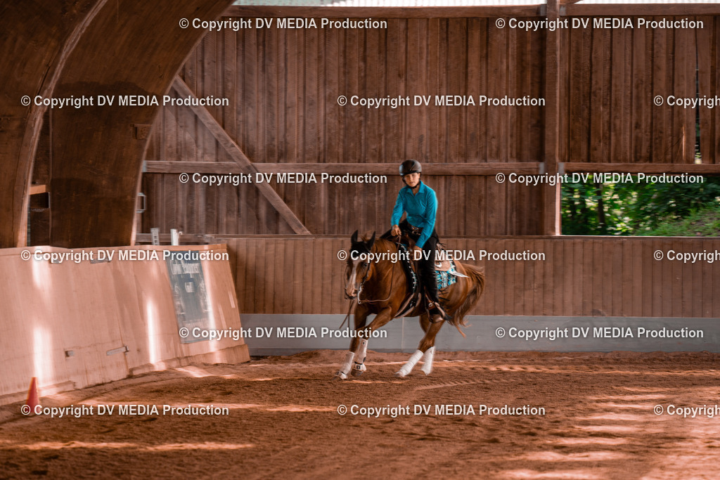 NE201095 | dv-media-shop - Realisiert mit Pictrs.com