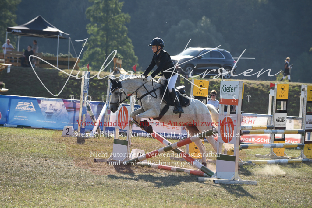 DSC_5676 | Pferde- und Turnierfotografie in Westsachsen. Pferdeportraits, Auftragszeichnungen und intuitive Kunst.