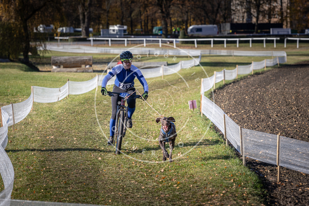 CaniXpix_DV3A4813 | Hundefotografie, Tierfotograf, Pfotenfotografie, Fotoshooting Hund, Hunde Portrait, Hundesport, Hundeportraits, Heideshooting, Hunde, Sportfotograf, Hundefotograf, Turnierhundsport, THS,  - Realisiert mit Pictrs.com