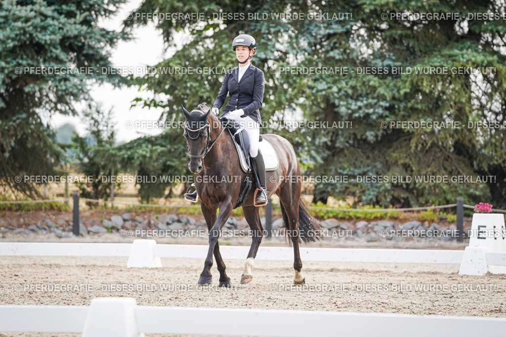 DSC00530 | Pferdegrafie