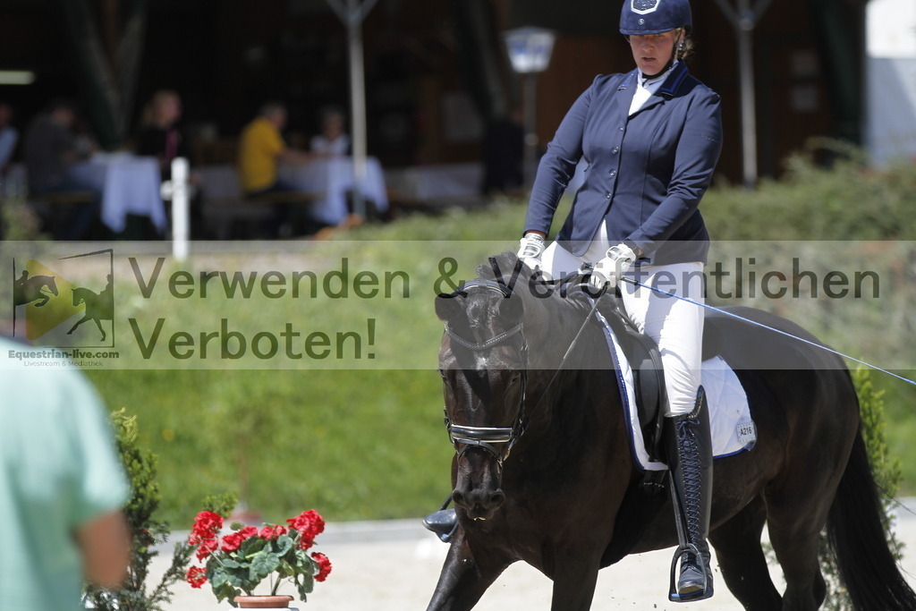 _MG_4953 | equestrian-live-com