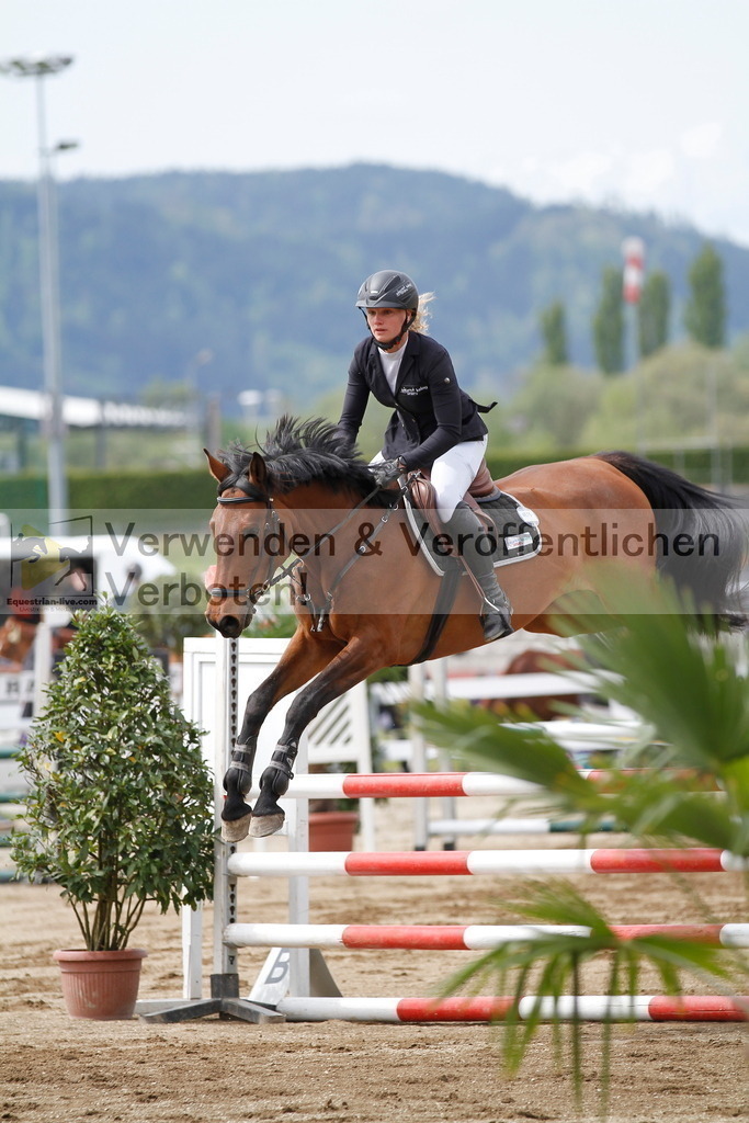 _MG_1803 | equestrian-live-com