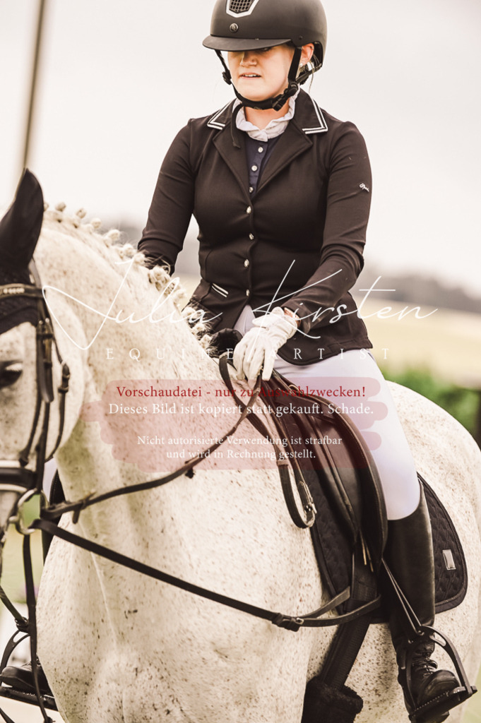 DSC_5018 | Pferde- und Turnierfotografie in Westsachsen. Pferdeportraits, Auftragszeichnungen und intuitive Kunst.