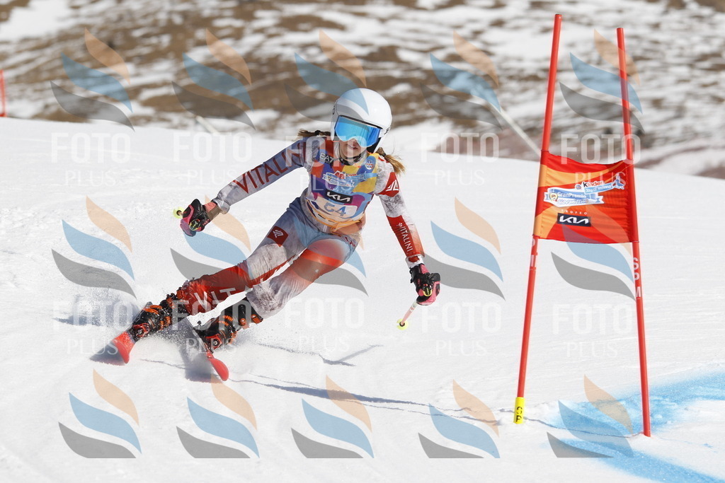 _U3G9462 | holidayphoto