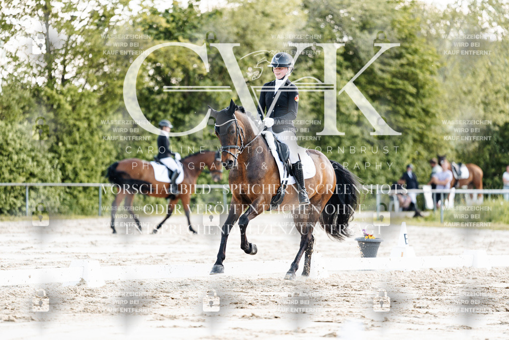 CK909592 | Turnierfotografie Pferdefotografie Trier Rheinland-Pfalz Pferdesport Reitsport Tierfotografie Sportfotografie Pferdevideo Pferdevideografie Equestrianvideography equestrianphotography  - Realisiert mit Pictrs.com