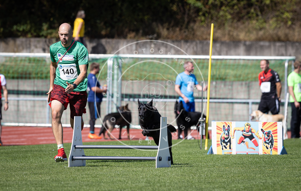 Pfotenfotografie_DV3A9079 | Hundefotografie, Tierfotograf, Pfotenfotografie, Fotoshooting Hund, Hunde Portrait, Hundesport, Hundeportraits, Heideshooting, Hunde, Sportfotograf, Hundefotograf, Turnierhundsport, THS,  - Realisiert mit Pictrs.com