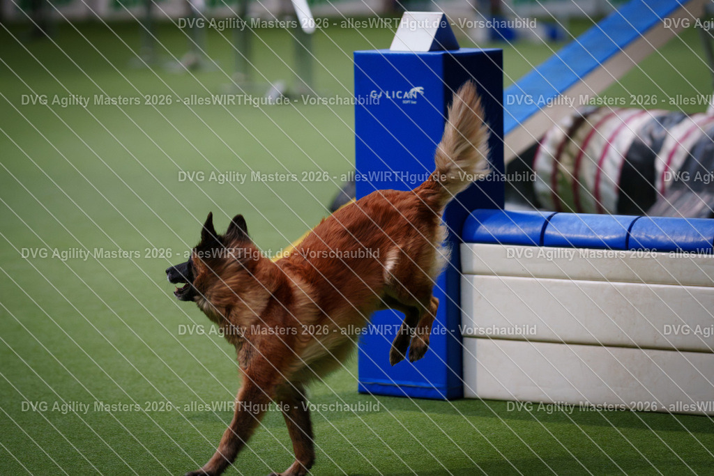 allesWIRTHgut_Tierfotografie-DVG_Agility_Masters_2026-14_44-7R501110 | Professionelle Tierfotografie in Mönchengladbach von Daniel Wirth (allesWIRTHgut). Liebevolle & natürliche Bilder von Hunden & Katzen für unvergessliche Erinnerungen.