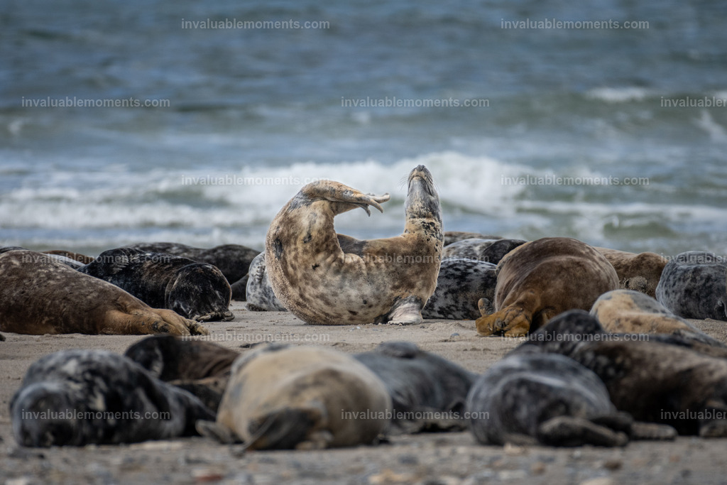 DSC_6210-2 | invaluablemoments.com - Realisiert mit Pictrs.com