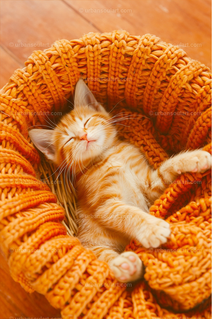Kitten Lying In Basket | This cozy and heartwarming image of a kitten lying in a woven basket brings a sense of comfort and warmth. Perfect for cat lovers, this adorable piece adds a playful and soothing touch to any space. - Realisiert mit Pictrs.com