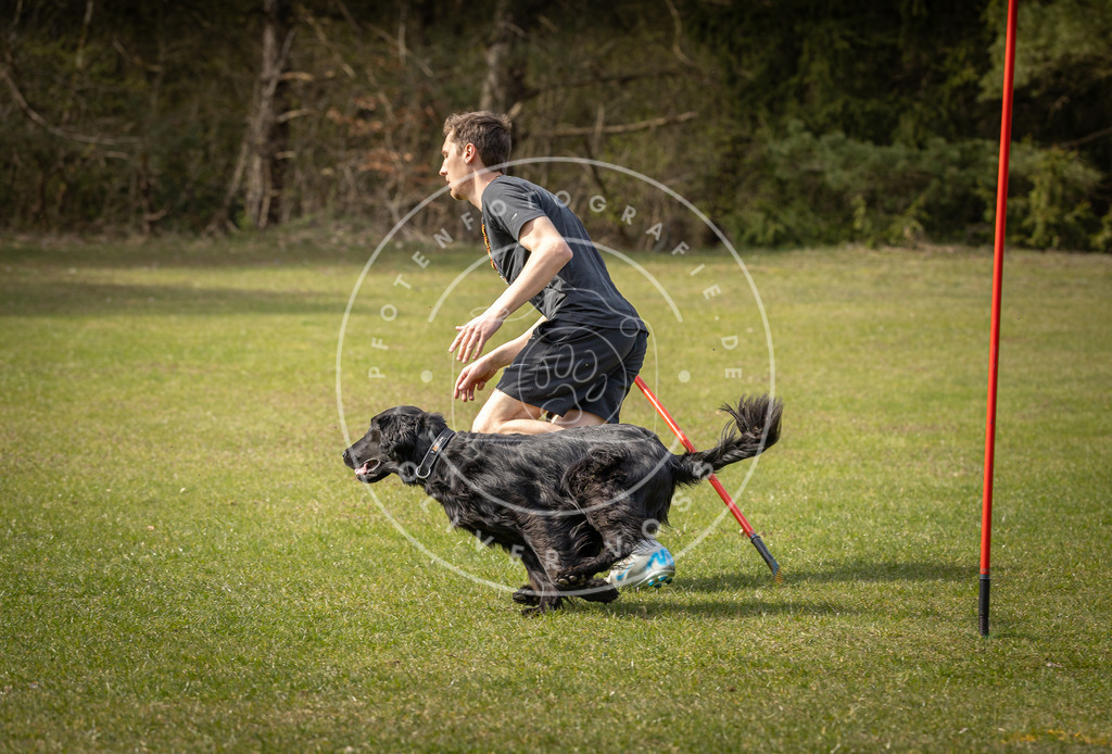 Pfotenfotografie_DV3A9780 | Hundefotografie, Tierfotograf, Pfotenfotografie, Fotoshooting Hund, Hunde Portrait, Hundesport, Hundeportraits, Heideshooting, Hunde, Sportfotograf, Hundefotograf, Turnierhundsport, THS,  - Realisiert mit Pictrs.com