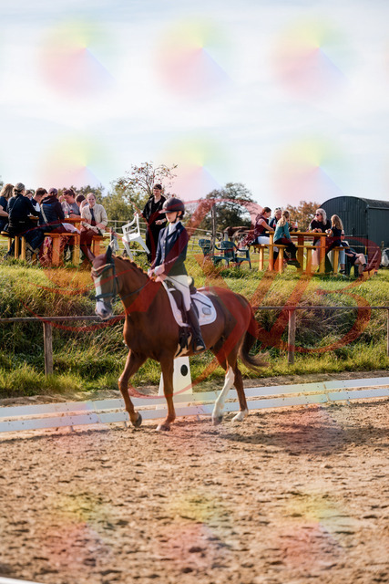 2026_10_03_Siefer-Hof_132823_Z63_89001340 | Professionelle Reitsport-, Turnier- und Eventfotografie von Robert Broda. Galerien mit ausgewählten und bearbeiteten Bildern direkt online ansehen und bestellen.