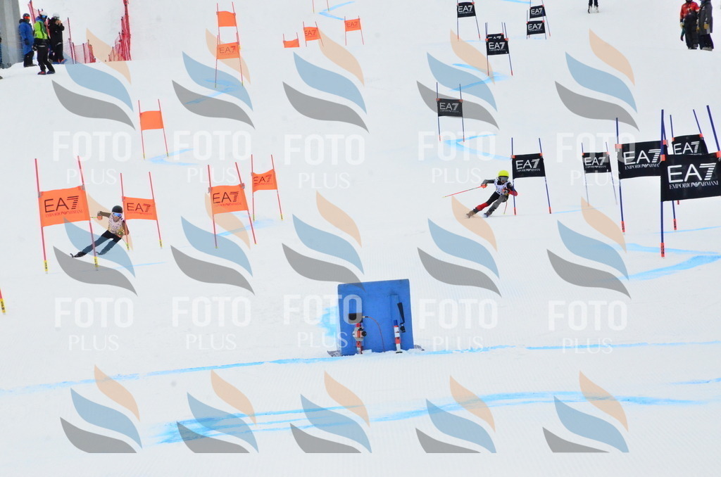 _ELE3559 | holidayphoto