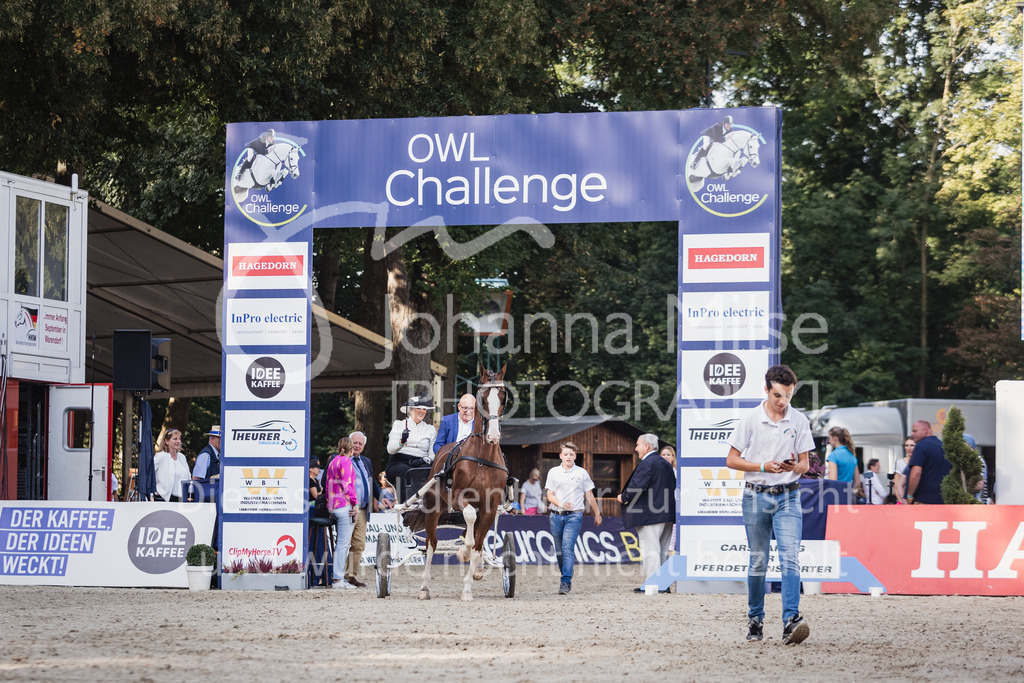 230910_OWLCh_GroßerPreis-691 | Deine schönsten Turniermomente als professionelle Fotos! Entdecke hochwertige Pferdesport-Fotografie im Online-Shop. Jetzt Fotos finden & bestellen!