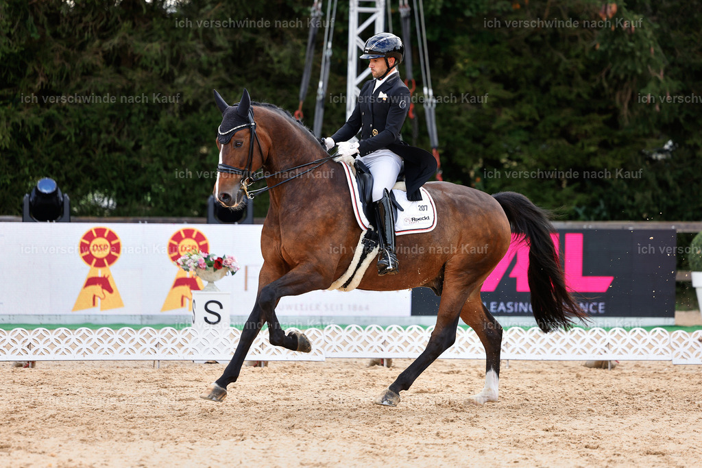 10-207-ST.GEORG SPECIAL -StoibPH-3271 | working equitationturnier fotograf videograf stoibphotography marixx film working equitation deutschland reitsport turnierfotografie eventfotografie equestrian events