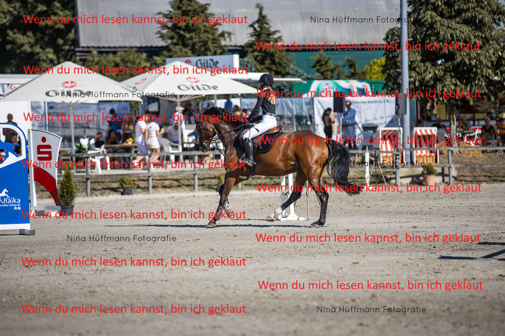 BK1A7995 | Turnierbilder Turnierfotos Nina Hüffmann Turnierfotografie Pferdefotografie Tierzeichnung Haustierzeichnung Pferdezeichnung Hundezeichnung Videograf  - Realisiert mit Pictrs.com