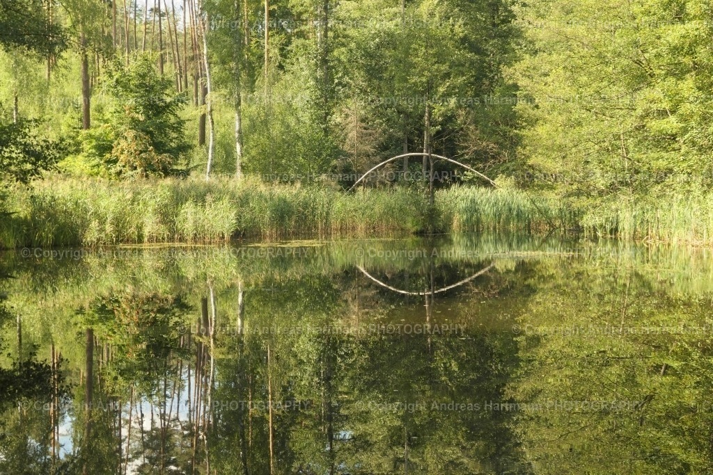 Spiegelung im Teich Himmelsgrund | Spiegelung im Teich Himmelsgrund - Realisiert mit Pictrs.com