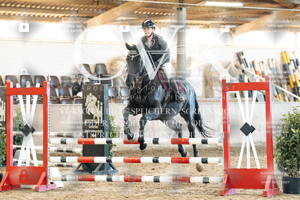 CK904695 | Turnierfotografie Pferdefotografie Trier Rheinland-Pfalz Pferdesport Reitsport Tierfotografie Sportfotografie Pferdevideo Pferdevideografie Equestrianvideography equestrianphotography  - Realized with Pictrs.com