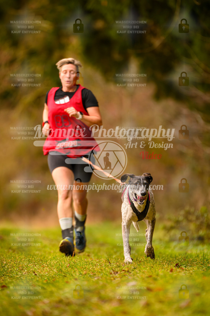 MompixPhotography_2SSTSSBW_2025_SO_Canicross-31 | PayLife
