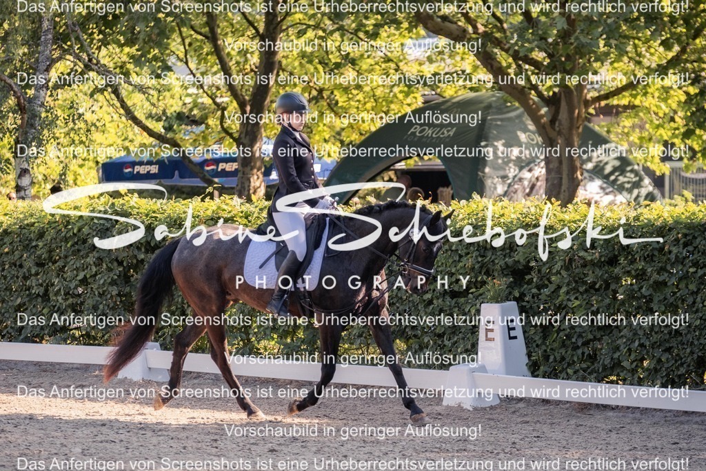 2025_05_31_DSCF2833 | People- und Tierfotografie, Imageaufnahmen, Veranstaltungsfotografie und Wandbilder aus der Natur ★ Made in Germany ✔️ Druck + Downloads ✔️ Naturfotografie in Top Qualität ★ schneller Versand, weltweite Lieferung! - Realisiert mit Pictrs.com