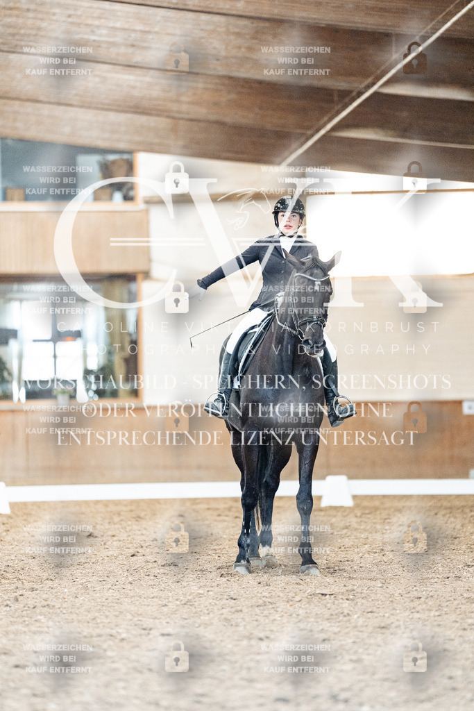 CK909455 | Turnierfotografie Pferdefotografie Trier Rheinland-Pfalz Pferdesport Reitsport Tierfotografie Sportfotografie Pferdevideo Pferdevideografie Equestrianvideography equestrianphotography  - Realisiert mit Pictrs.com