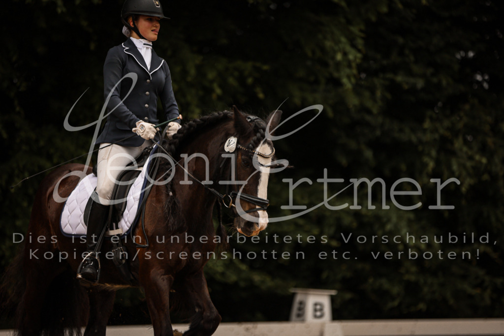 DoDrE00331 | Leoni Ertmer Photography - Realisiert mit Pictrs.com