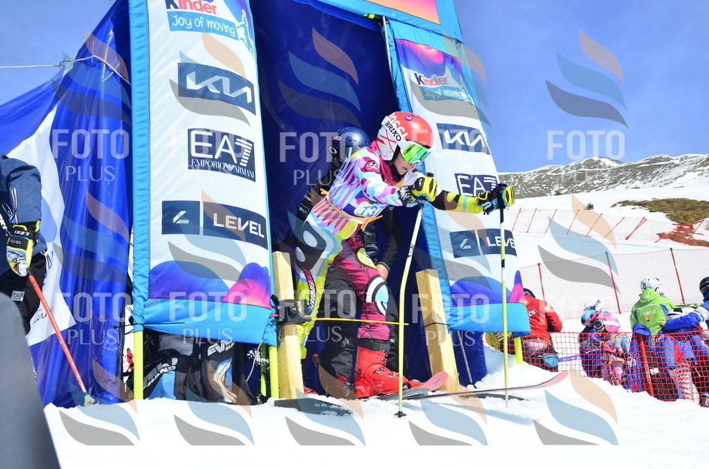 _ELE0882 | holidayphoto