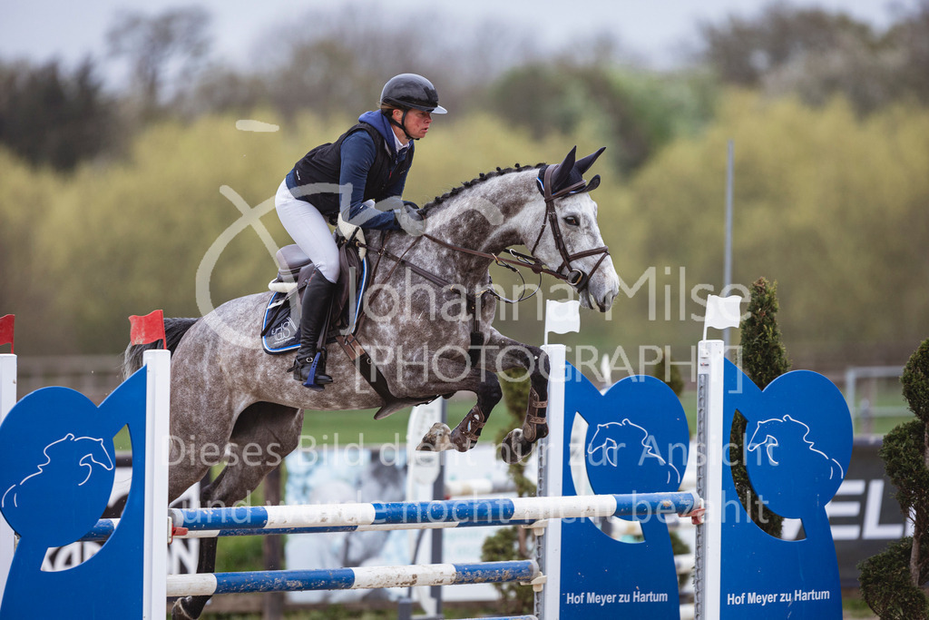 250417_Springpferde-L1-219 | Deine schönsten Turniermomente als professionelle Fotos! Entdecke hochwertige Pferdesport-Fotografie im Online-Shop. Jetzt Fotos finden & bestellen!