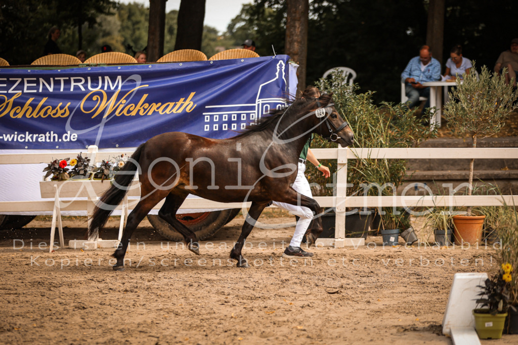 03.So00111 | Leoni Ertmer Photography - Realisiert mit Pictrs.com