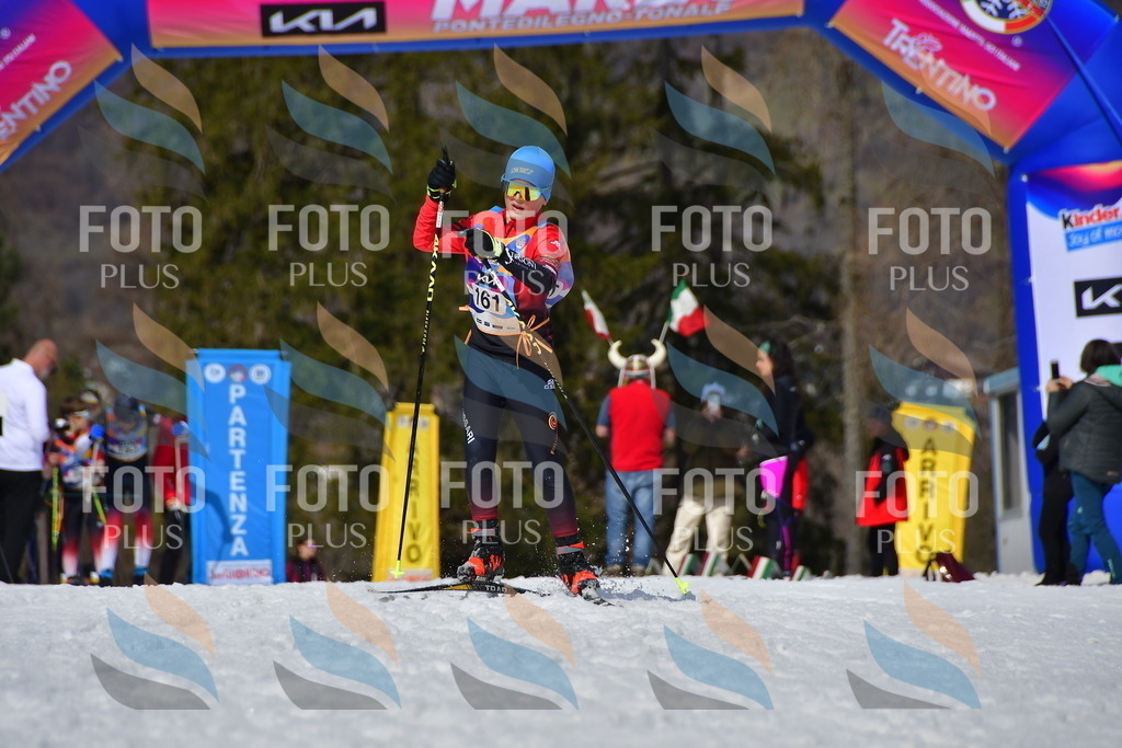 _DSC0801 | holidayphoto