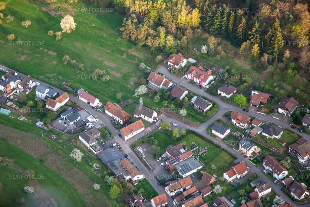 Luftbild: Ortsansicht von Nordwesten in Böllenborn im Bundesland Rheinland-Pfalz in Deutschland. Foto: IMG_140233.jpg vom 11.04.2024 durch Werner Riehm/FLY-FOTO.de