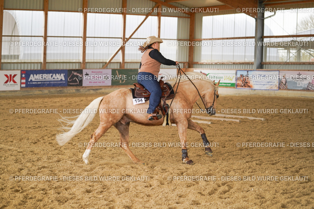 DSC03888 | Pferdegrafie