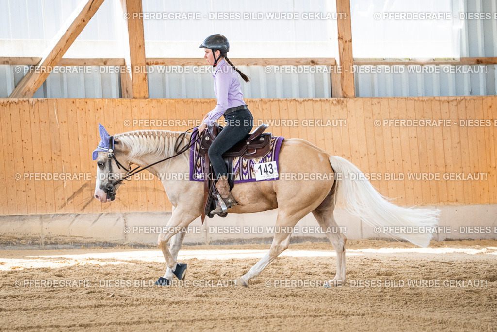 DSC03462 | Pferdegrafie