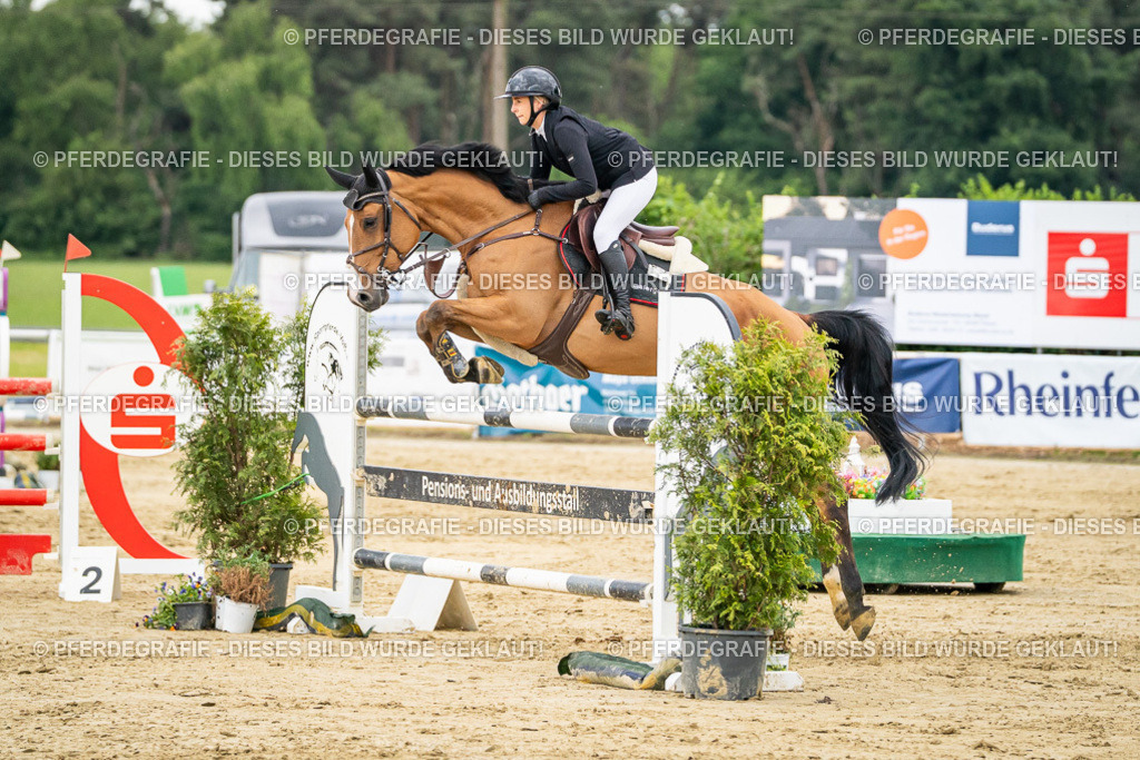 DSC06968 | Pferdegrafie