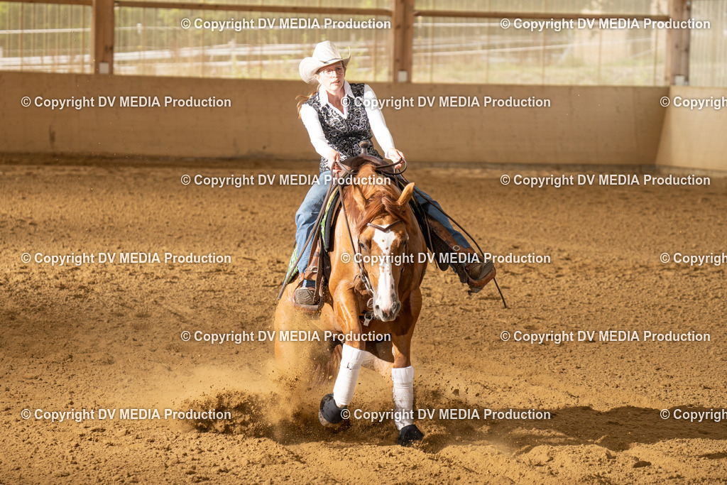 LAU01695 | dv-media-shop - Realisiert mit Pictrs.com