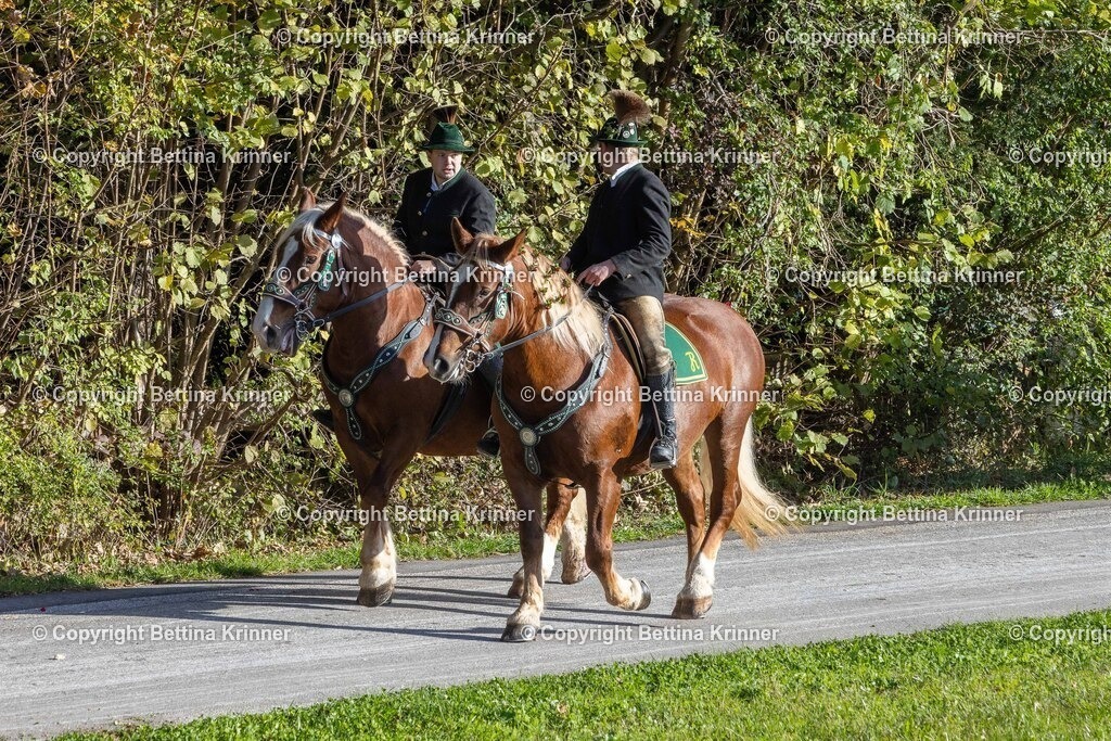 LBT24-295 | foto-bettina-krinner - Realisiert mit Pictrs.com
