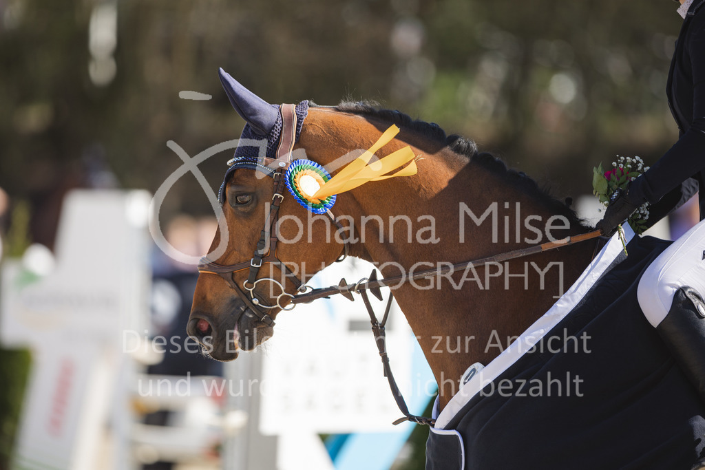 220423_Sudheim_Stil-L-174 | Oerlinghausen Währentrup 26.08.2021, Stilspringprüfung Kl.A*