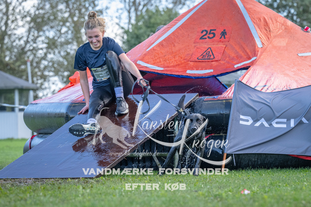 1258-90357 | kk-dogfotos