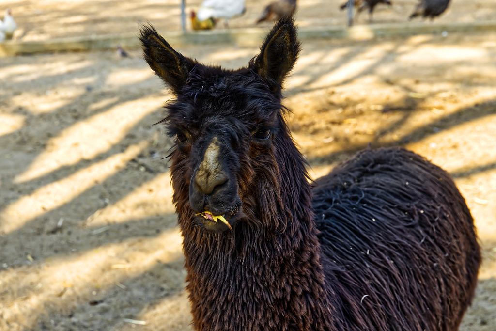 1H5A2666 | ansichtssache