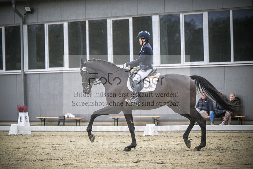 DOS_0422 | Entdecke hochwertige Reitturnierfotos von Foto Oger. Professionell, emotional und authentisch – jetzt Lieblingsmomente im Shop bestellen.Deutschlandweite Turnierfotografie. - Realisiert mit Pictrs.com
