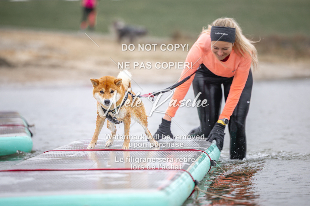 nelerasche_Hulsbeek_Sa1030-1100_88 | nelerasche