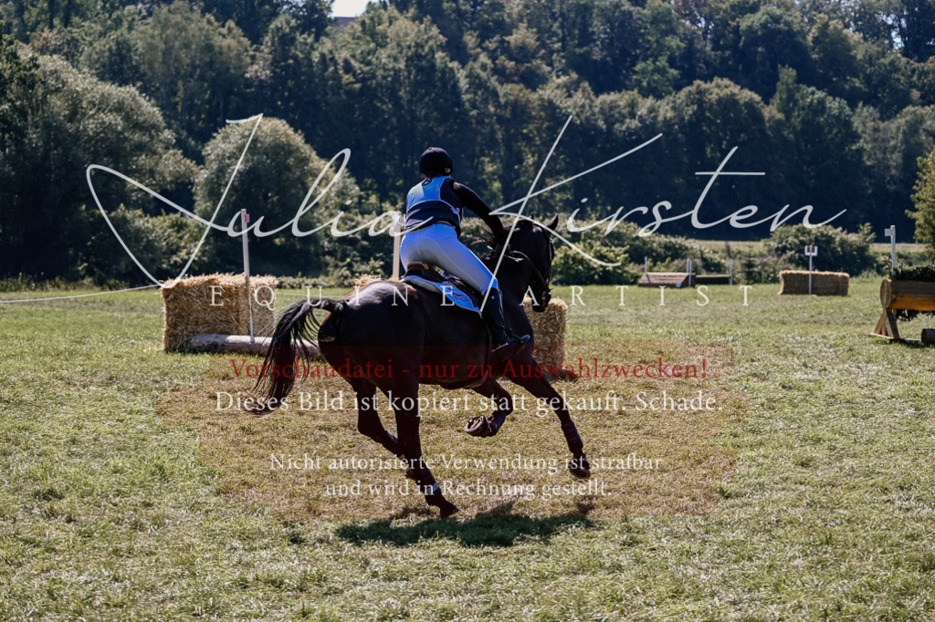 DSC_1640 | Pferde- und Turnierfotografie in Westsachsen. Pferdeportraits, Auftragszeichnungen und intuitive Kunst.