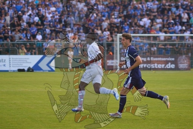 BFC Dynamo vs. Hertha BSC  043 | mythos-online-redaktion