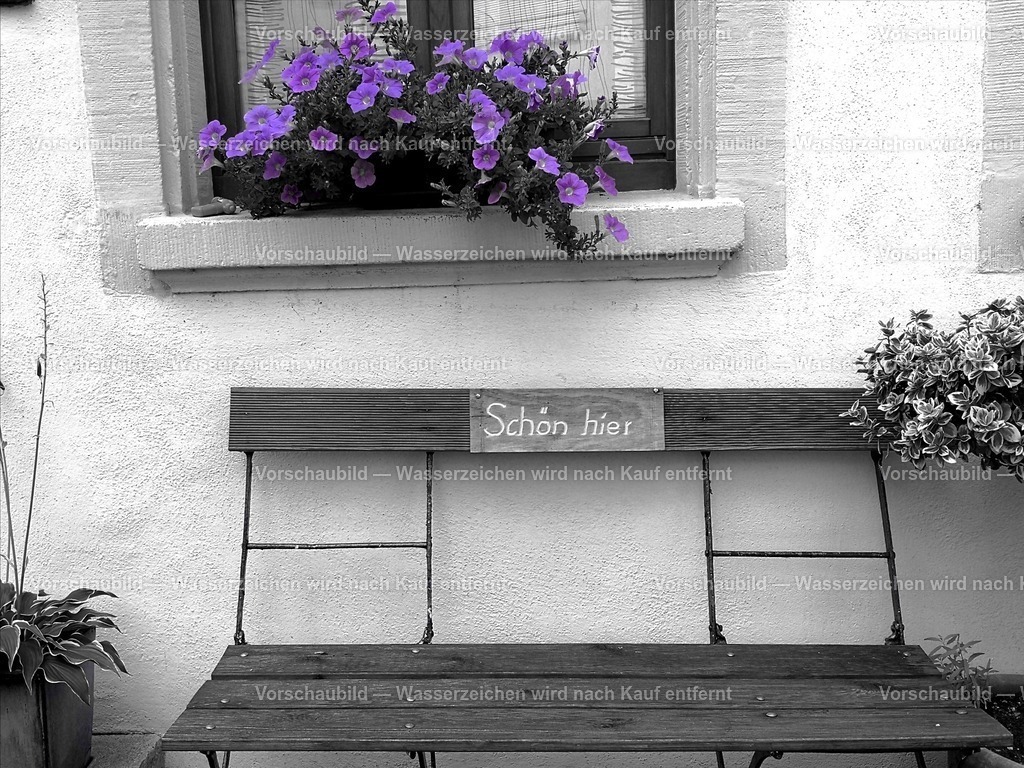 Schön hier | online Fotogalerie mit schwarz-weiß Fotografien und Shop für zeitlose  Poster und Leinwände in stilvollem schwarz weiß  - Realisiert mit Pictrs.com